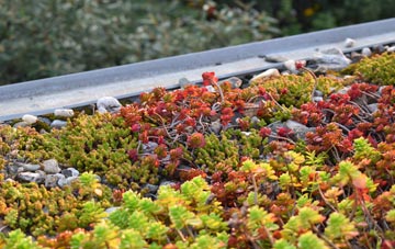 the cost of Ram Alley green roof installation
