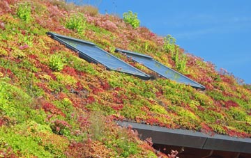 Ram Alley living roof systems