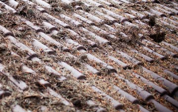 Ram Alley roof cleaning companies