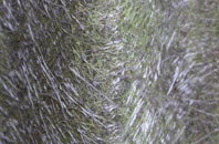 Ram Alley fibreglass roof work